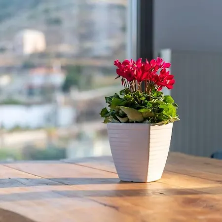 Bougainvillea Seaview Luxury *